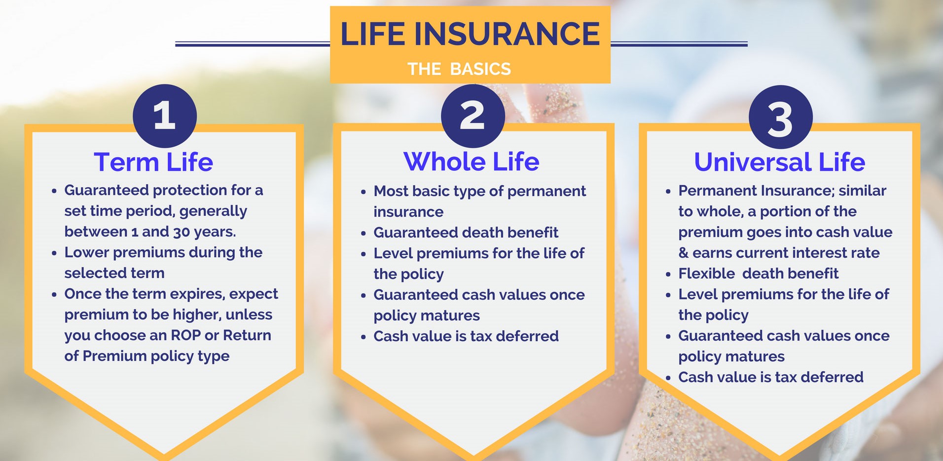 The image displays information about three types of life insurance policies for seniors, namely term life, whole life, and universal life. It explains the benefits, factors to consider, and application process for each type of policy.