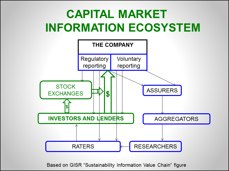 A diagram of the capital markets financial ecosystem, including the company, stock exchanges, assurers, investors and lenders, aggregators, raters, and researchers.