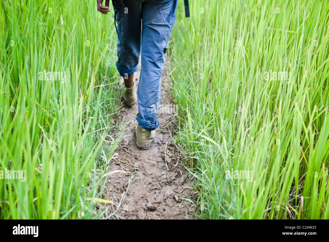 A person wearing blue pants and brown boots walks through a tall grassy field toward a waterfall on a muddy path.